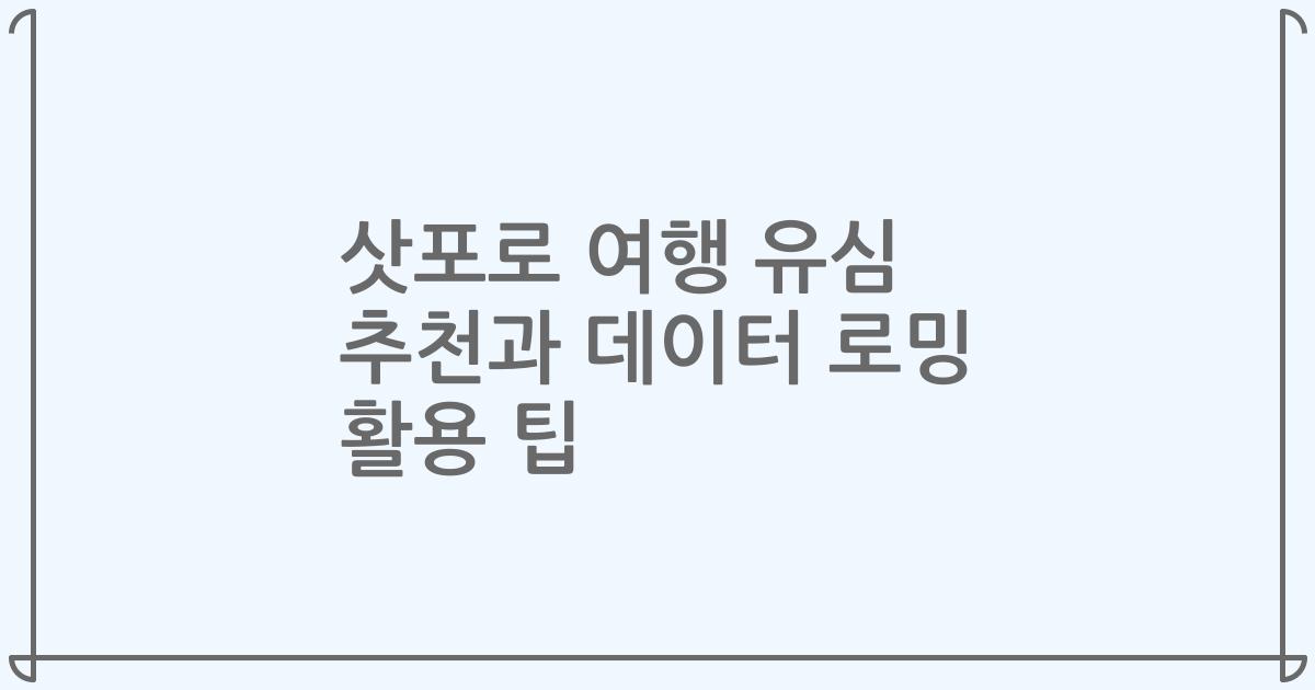 삿포로 여행 유심 추천과 데이터 로밍 활용 팁